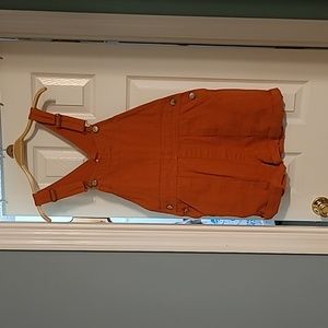 Big Bud Press Burnt Orange Shortalls